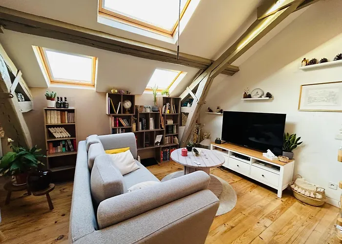 Lejlighed Le Splendide Jaures Centre-ville *