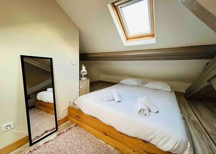 Lejlighed Le Splendide Jaures Centre-ville *