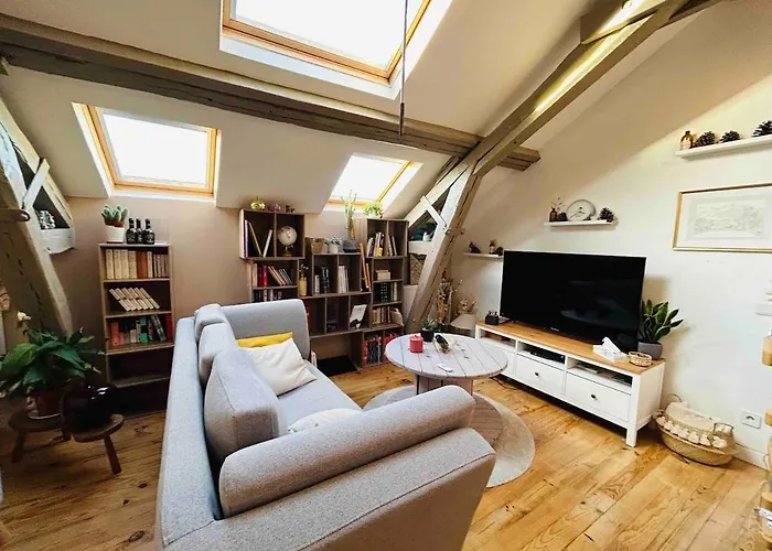 Lejlighed Le Splendide Jaures Centre-ville *